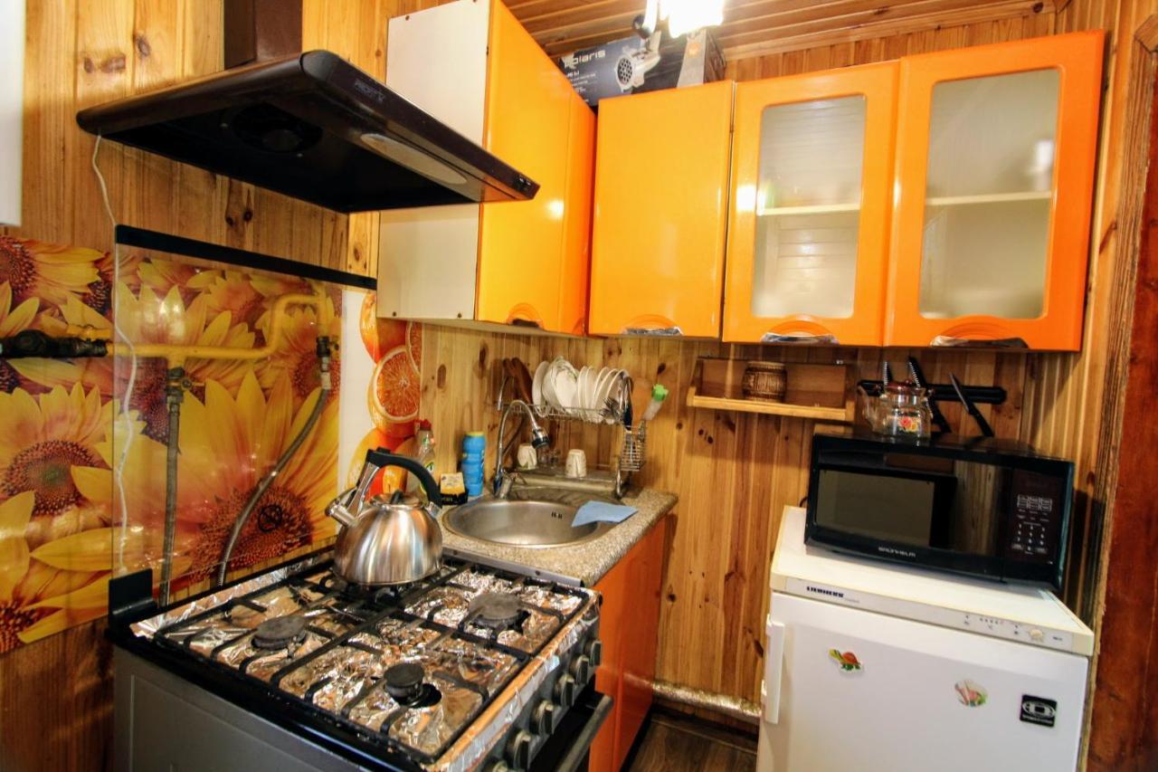 Котедж "Гірський Затишок" Yaremtche Extérieur photo